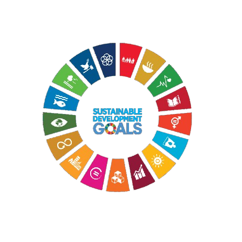 UN SDGs